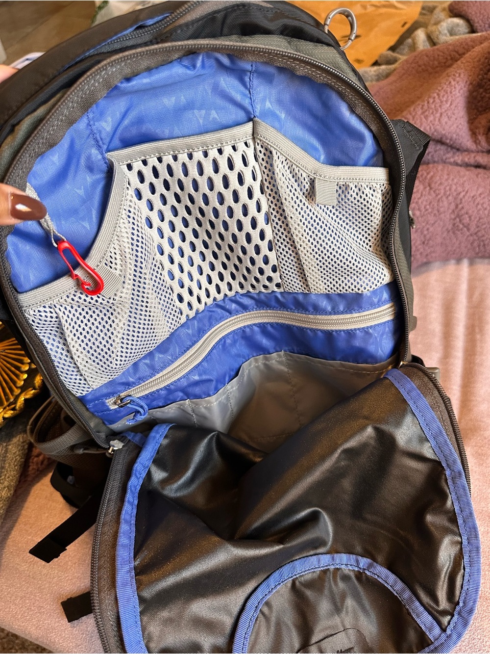 OSPREY Nova Black and Blue Women's Backpack - Picture 11 of 13